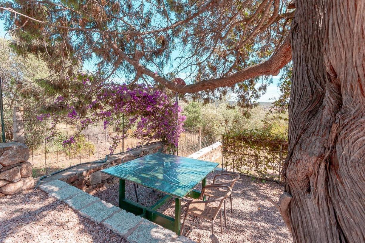 B&B Pettirosso Garden San Teodoro  Exterior foto