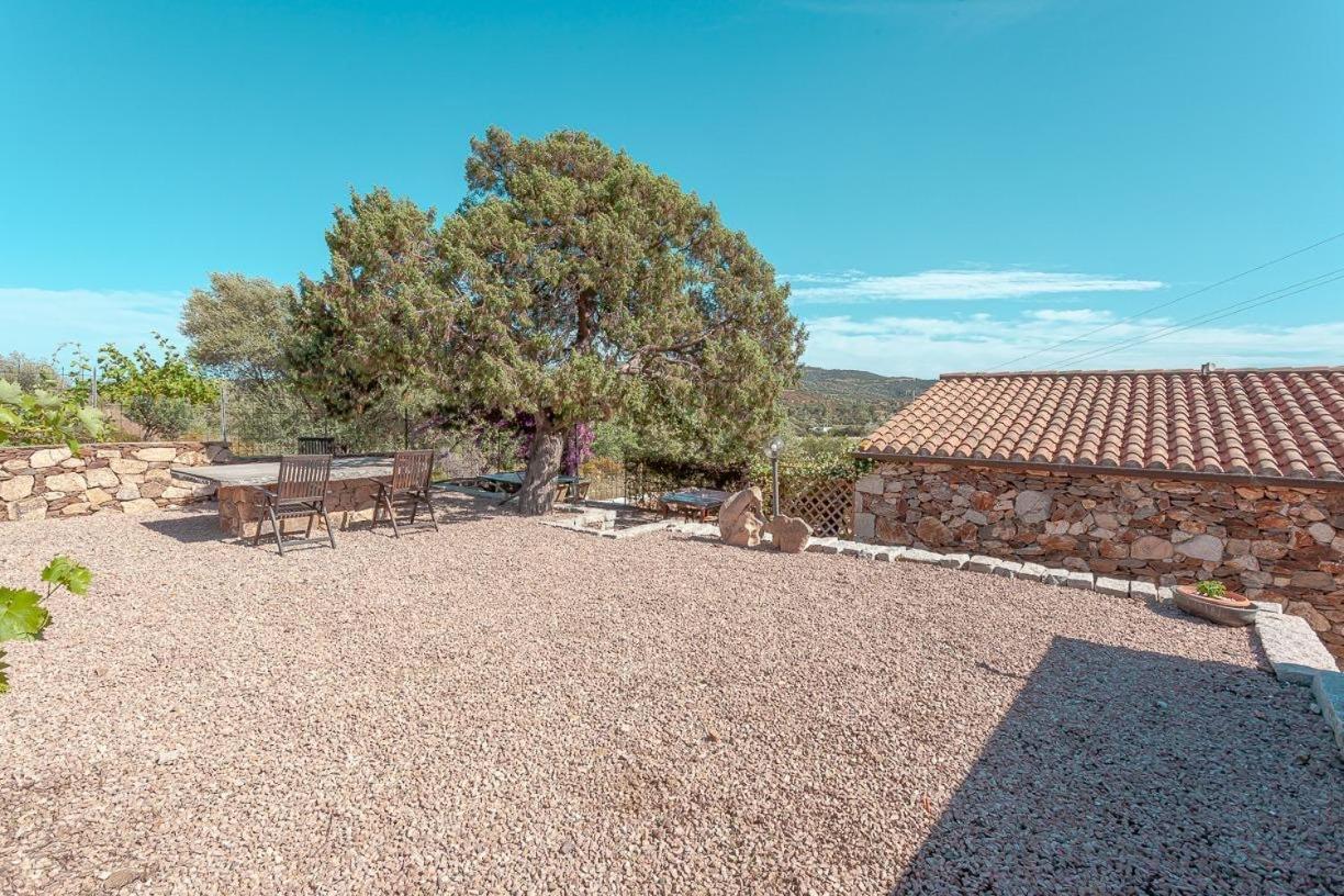 B&B Pettirosso Garden San Teodoro  Exterior foto